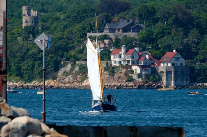 gloucester-schooner-festival-2016-schooner-istar-copyright-kim-smith
