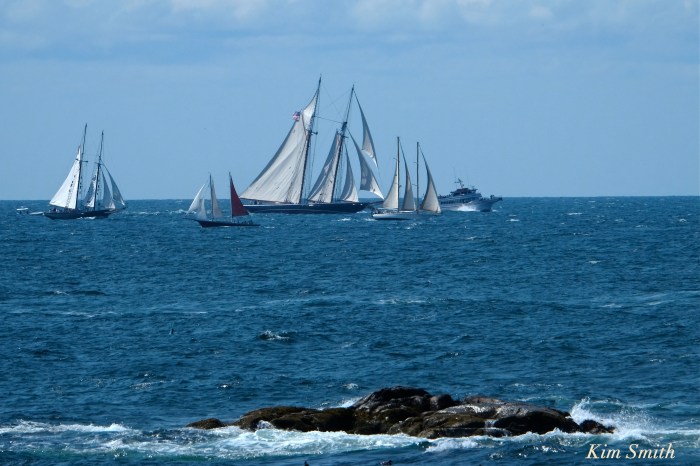 GLOUCESTER SCHOONER RACE 2016