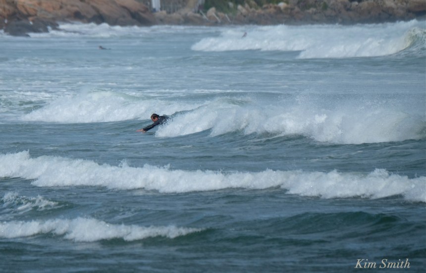 Good Harbor Beach swimming Tropical storm Hermine copyright Kim Smith