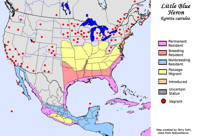 little_bliue_heron_map_big