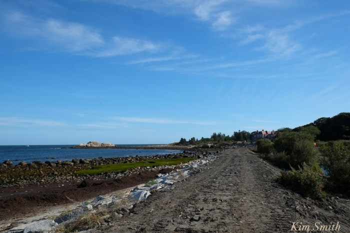 niles-pond-causeway-restoration-3-copyright-kim-smith