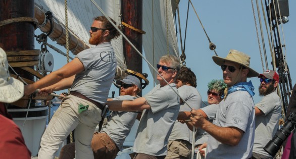 race-and-parade-win-2016-9070-586x315