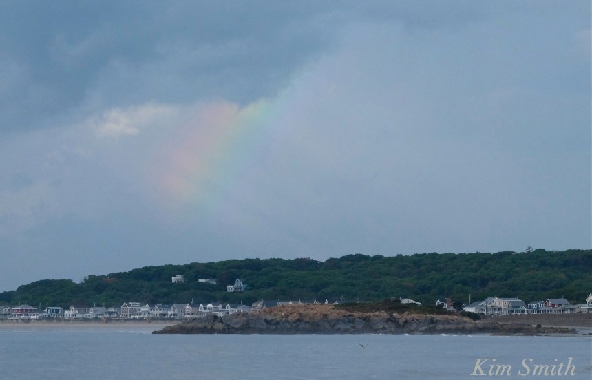 rainbow-cape-hedge-long-beach-cape-ann-copyright-kim-smith