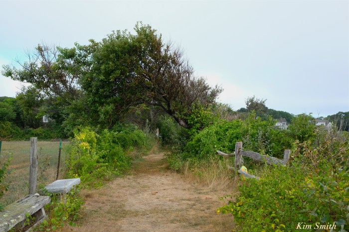 rockport-public-way-kim-smith