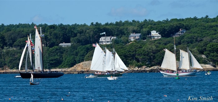SCHOONER ADVENTURE LANNON ARDELLE COPYRIGHT KIM SMITH