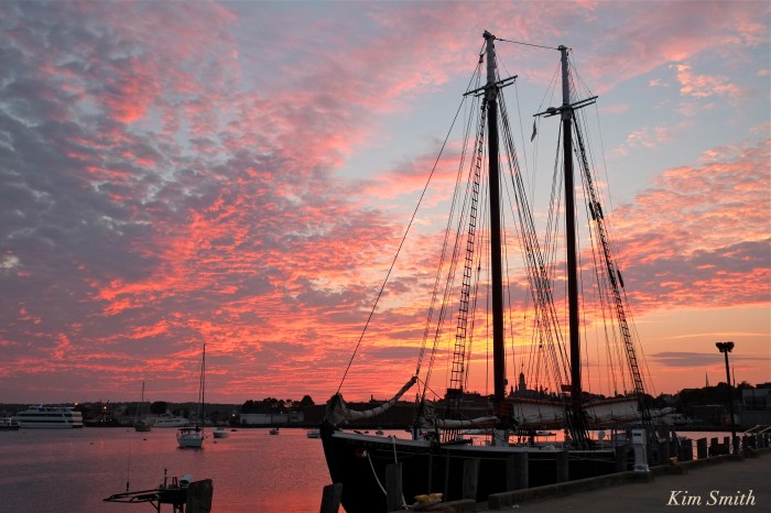 schooner-adventure-sunset-gloucester-harbor-copyright-kim-smith