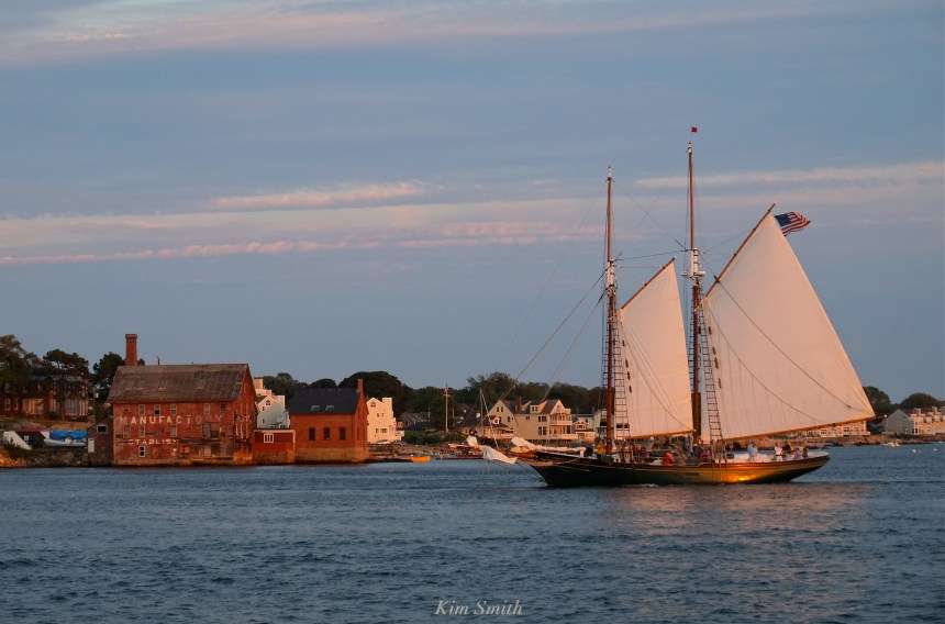 schooner-thomas-e-lannon-sunset-paint-factory-gloucester-copyright-kim-smith