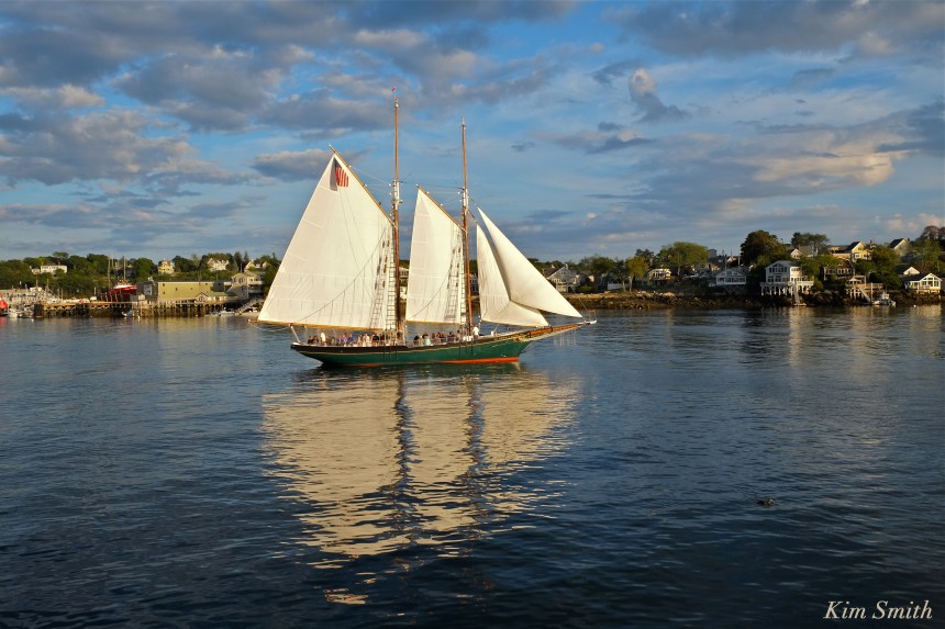 Schooner Thomas Lannon Gloucester MA copyright Kim Smith
