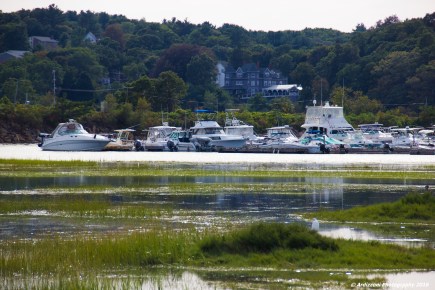 september-21-2016-the-tide-is-high-behind-friendlys