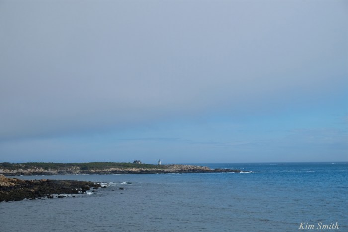 straitsmouth-island-and-lighthouse-copyright-kim-smith