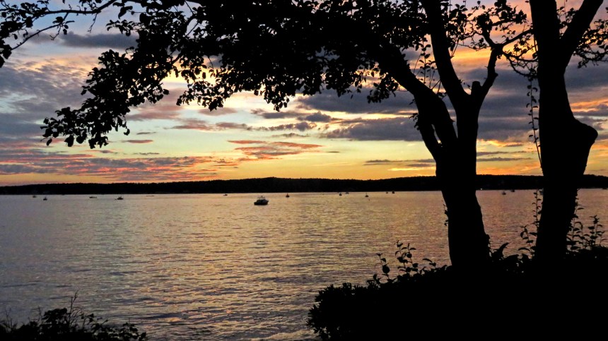 sunsetnilestree_0294