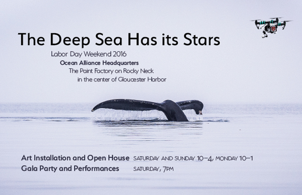 TDSHIS-postcard-as-jpg-front-600px