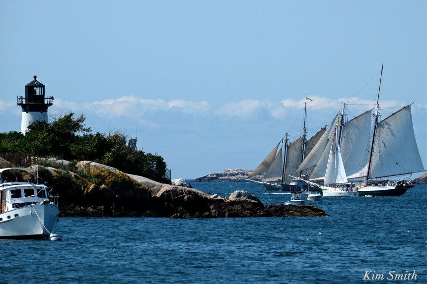 ten-pound-island-gloucester-schooner-race-2016
