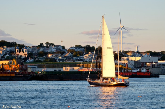 trails-and-sails-sailboat-dove-3-copyright-kim-smith
