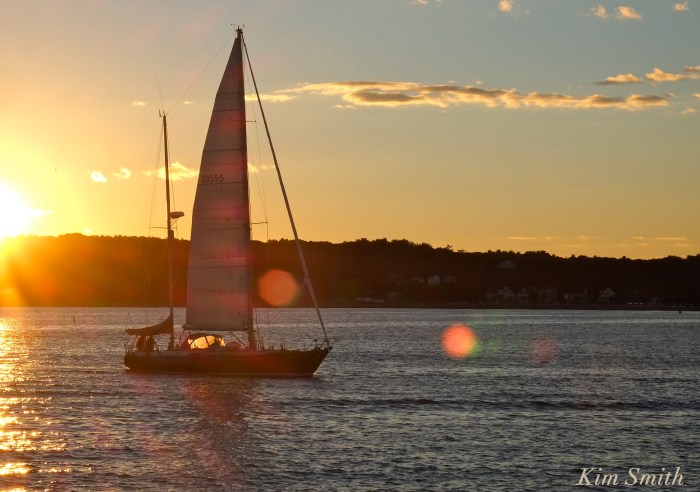 trails-and-sails-sailboat-dove-copyright-kim-smith