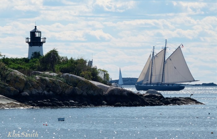 trails-and-sails-schooner-adventure-3-copyright-kim-smith
