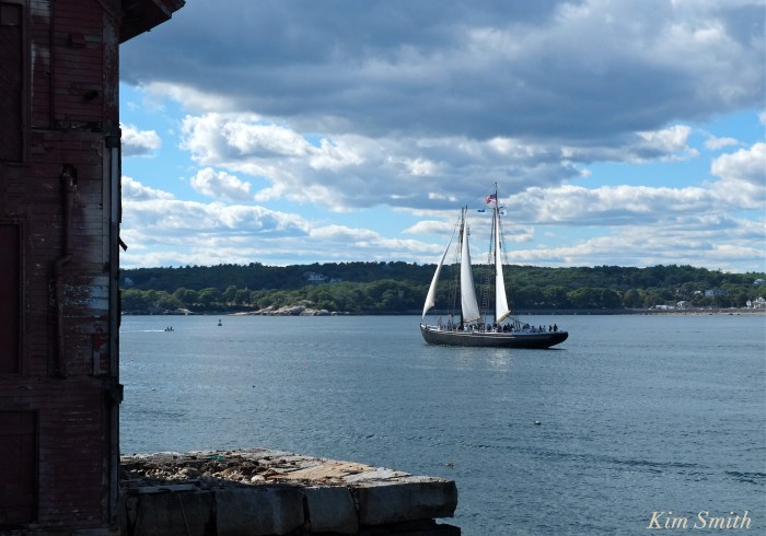 trails-and-sails-schooner-adventure-copyright-kim-smith