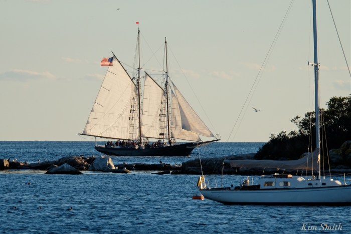trails-and-sails-schooner-lannon-3-copyright-kim-smith