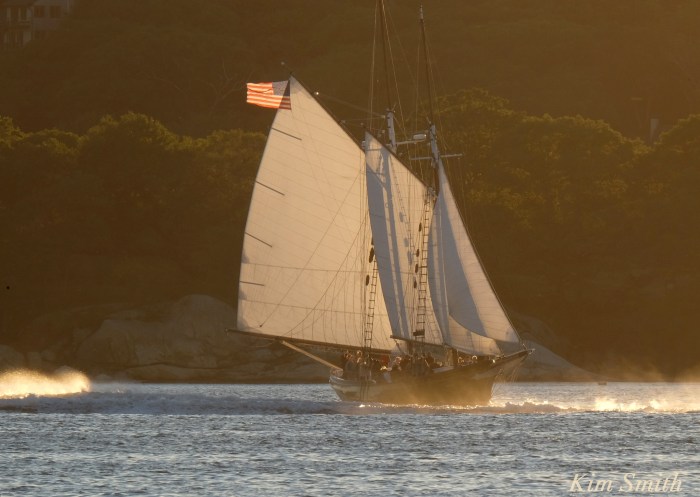 trails-and-sails-schooner-lannon-4-copyright-kim-smith