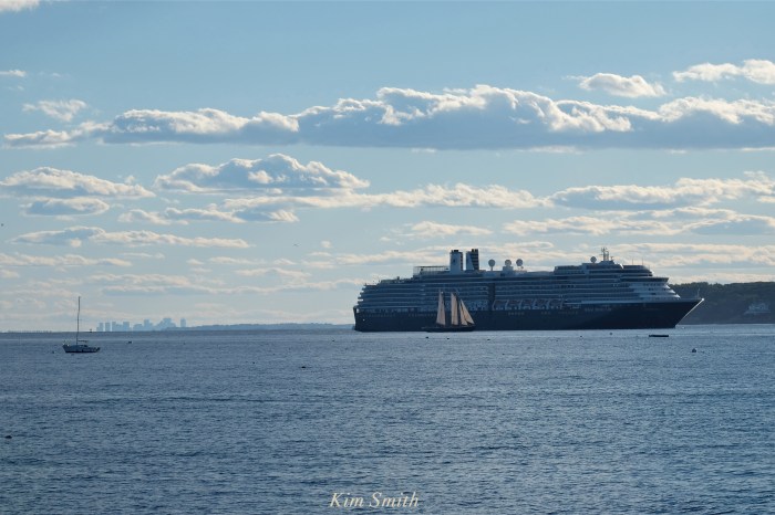 zuiderdam-cruise-ship-gloucester-harbor-massachusetts-usa-copyright-kim-smith