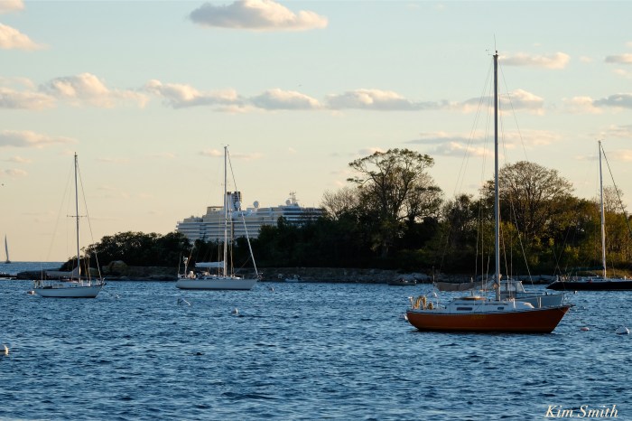 zuiderdam-cruise-ship-gloucester-harbor-massachusetts-usa-ten-pound-island-copyright-kim-smith