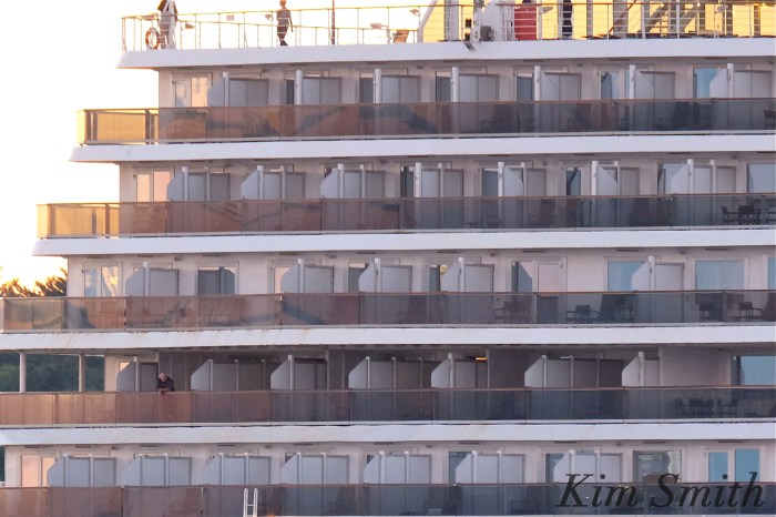 zuiderdam-rear-window-2-copyright-kim-smith