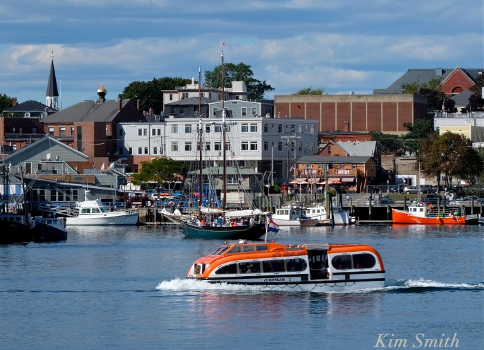 zuiderdam-shuttle-gloucester-ma-copyright-kim-smith