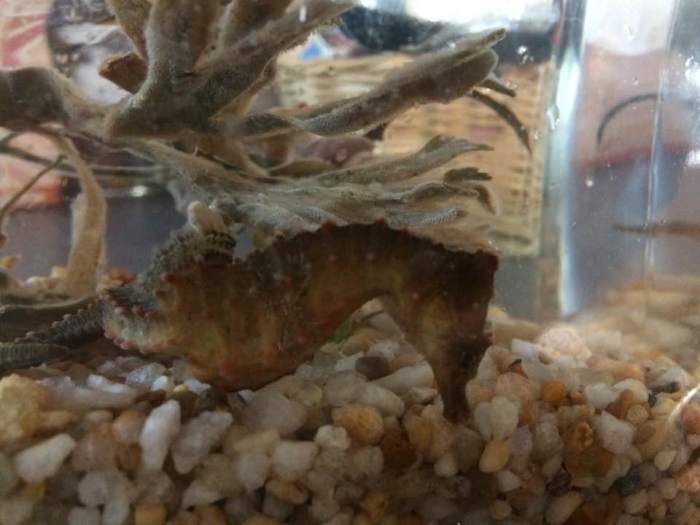 14691015_10210684308526533_5970756152191788262_n