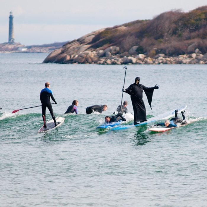 14907554_1132975243406874_8318295359715075429_n