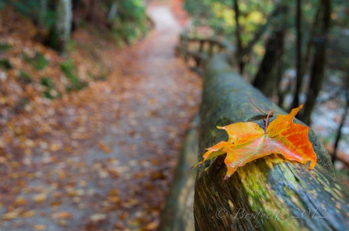 176500_3839012817138_1534205127_o