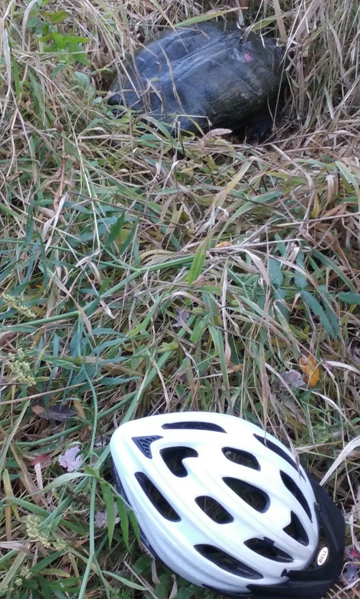 20161019_134632_resized_1