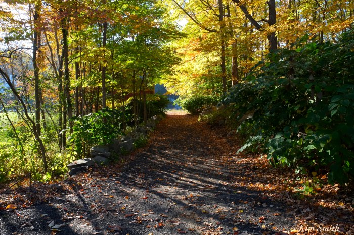 fall-foliage-lobster-cove-copyright-kim-smith