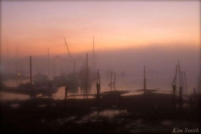 foggy-gloucester-harobr-3-copyright-kim-smith