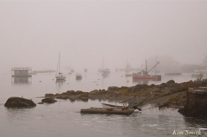 goose-cove-gloucester-foggy-evening-copyright-kim-smith