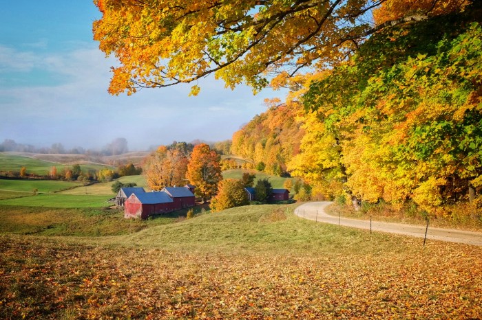 Processed with Snapseed.