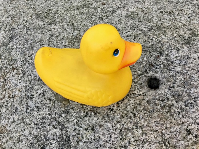 RD checking out a circular mark at the very center of Profile Rock.