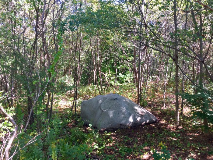 Profile Rock as of September 2016