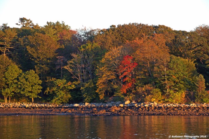 october-14-2016-from-white-beach-some-color