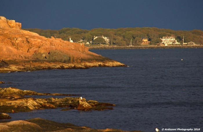 october-25-2016-it-is-all-about-the-light