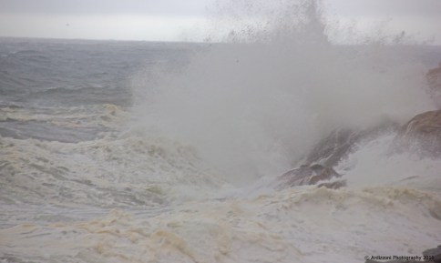 october-28-2016-2-hours-before-high-tide