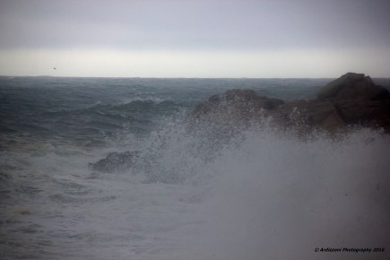 october-28-2016-rocks-right-off-of-shore-road