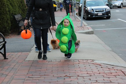 october-31-2015-peas-in-a-pod