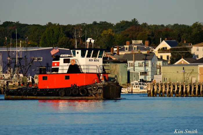 roys-boys-gloucester-harbor-copyright-kim-smith