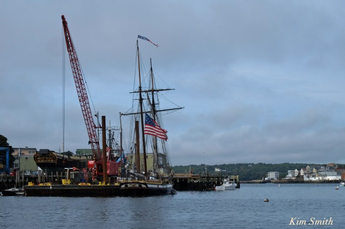 tall-ship-lynx-portsmouth-gloucester-copyright-kim-smith