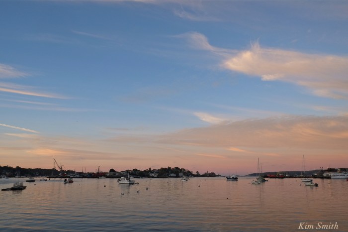 tall-ship-lynx-rocky-neck-marine-railways-gloucester-harbor-copyright-kim-smith