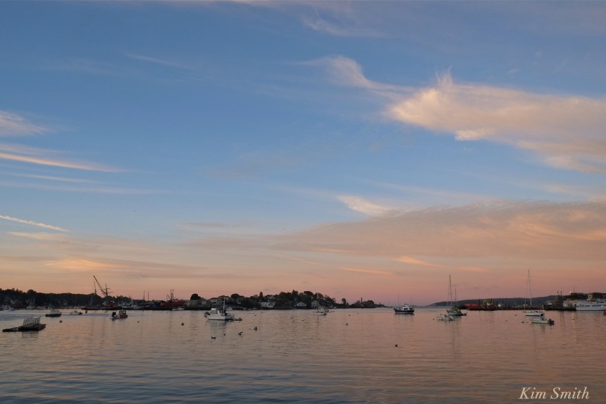 tall-ship-lynx-rocky-neck-marine-railways-gloucester-harbor-copyright-kim-smith