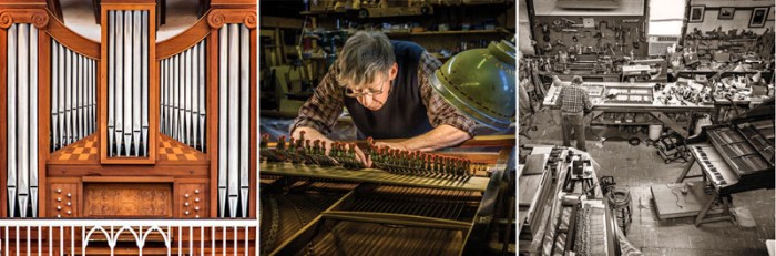 Voicing Woods - three.jpg