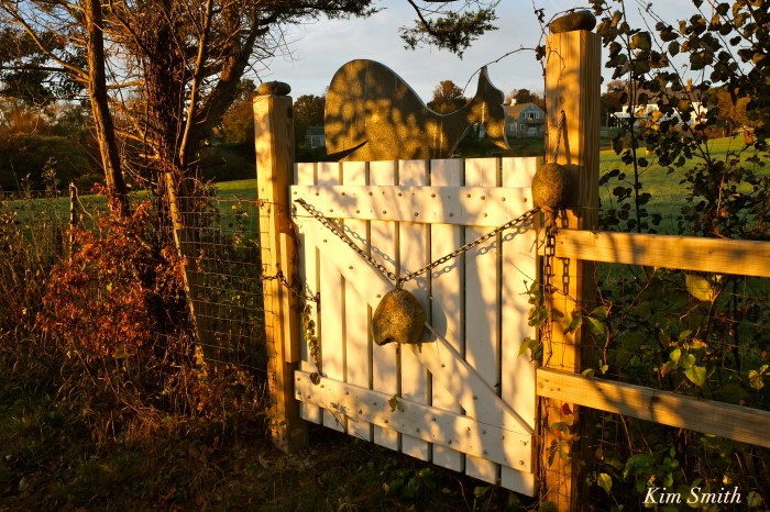 whale-cove-2-copyright-kim-smith