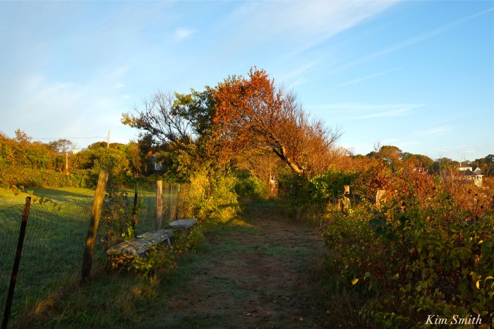whale-cove-3-copyright-kim-smith