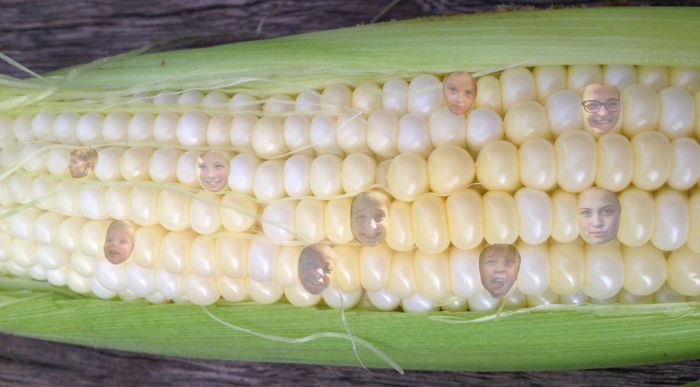 15304293_959017724202062_7914960486487041530_o